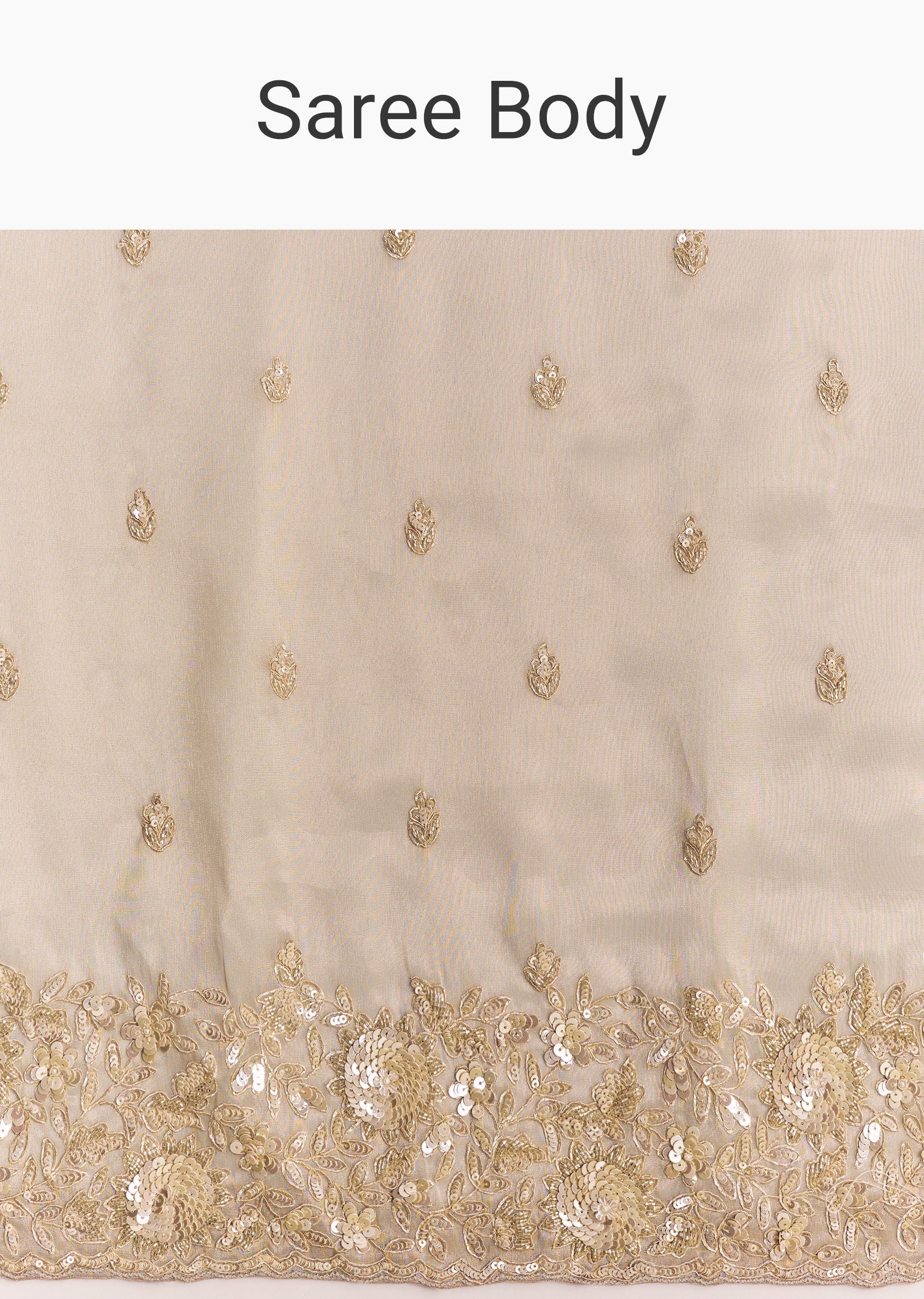silver-tissue-saree-embellished-with-beads-and-sequins-sg319132-9_ef348adb-ac53-40c1-affd-fcf491495e5f.jpg