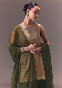 silver_kurta_with_embroidered_velvet_sharara_pants_and_organ-sg276941_5_2e3c3498-0b2d-4f3b-9bcb-9c4e9d4b577d.jpg