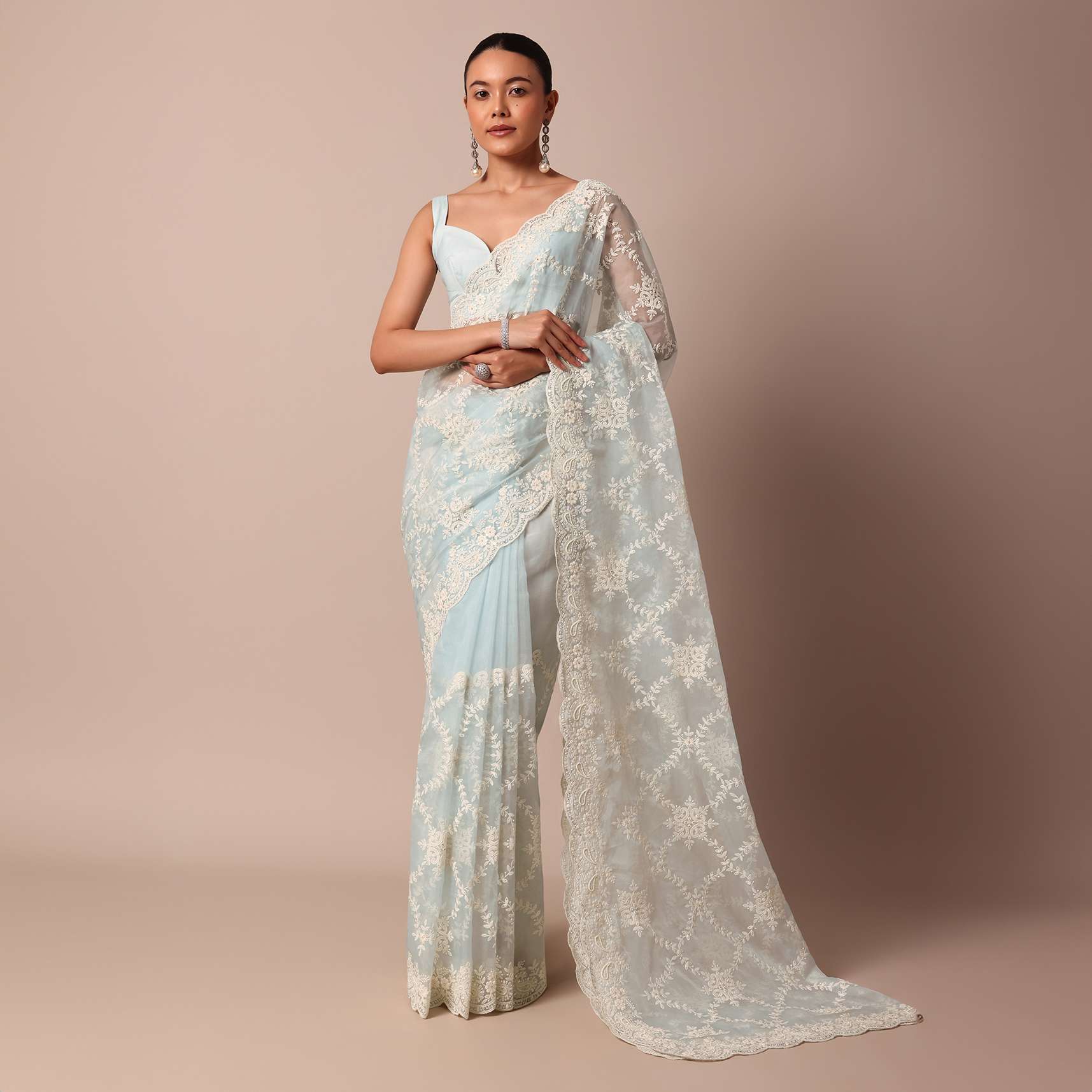 sky_blue_chikankari_saree_in_organza_silk_with_floral_jaal_d-sg214115_10_a74adb4a-2368-4c7e-aaa0-4ab6ed762a8a.jpg