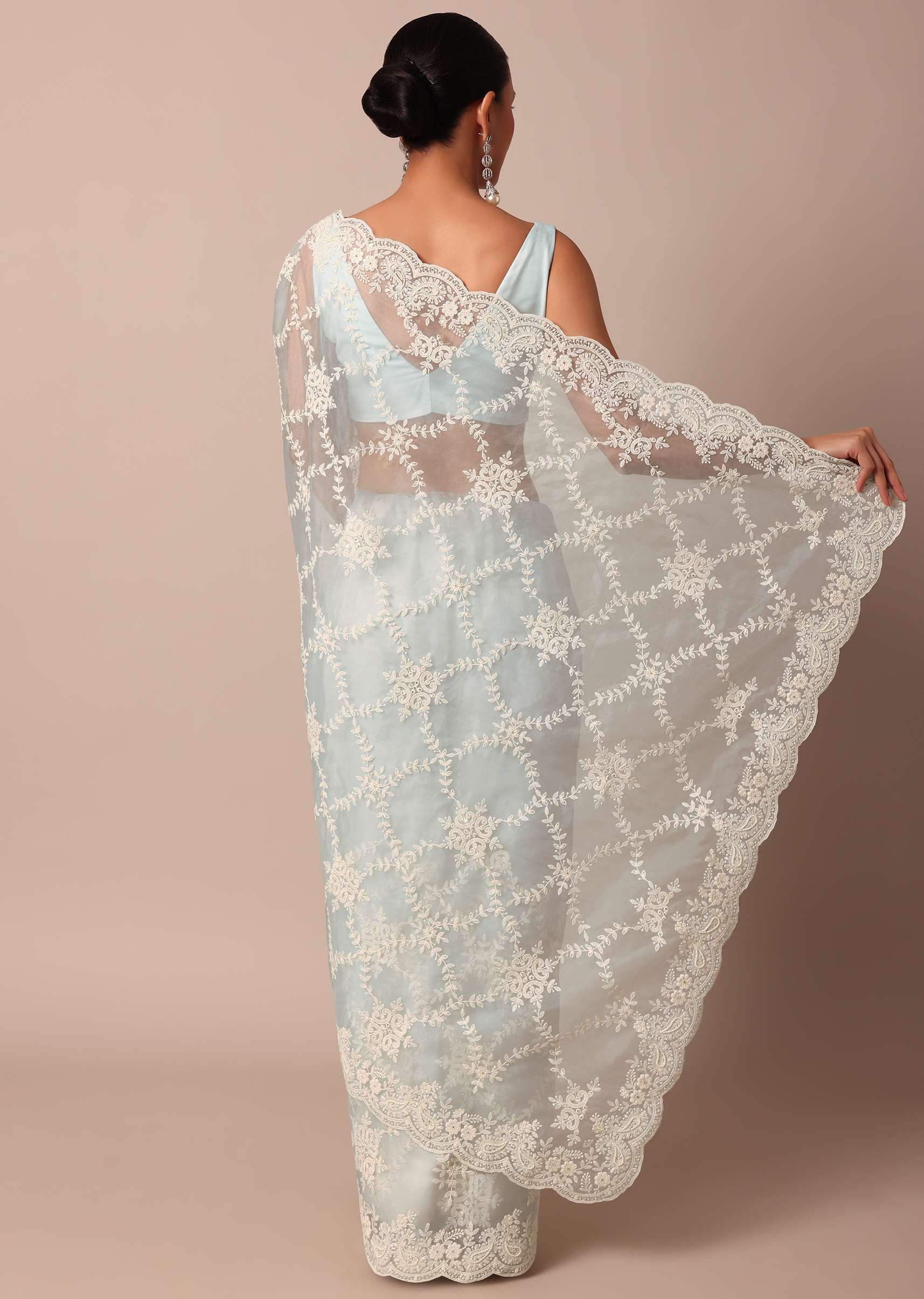 sky_blue_chikankari_saree_in_organza_silk_with_floral_jaal_d-sg214115_5_2620d077-f371-4269-b721-d3a0e009e397.jpg