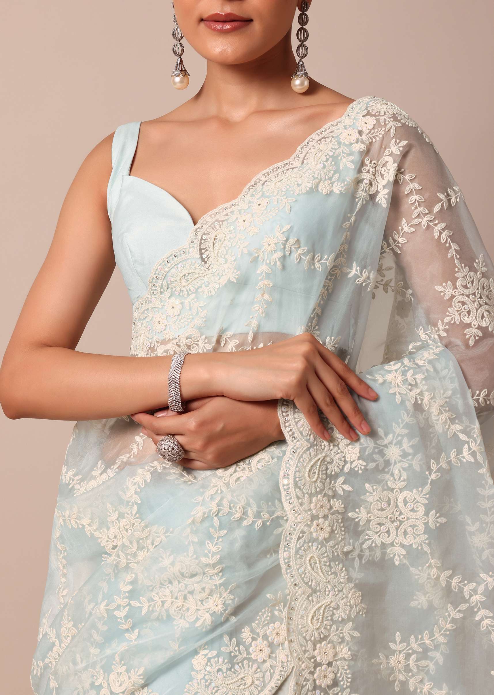 sky_blue_chikankari_saree_in_organza_silk_with_floral_jaal_d-sg214115_6_6259a122-b8fc-4ca3-bea4-0726d9dba029.jpg