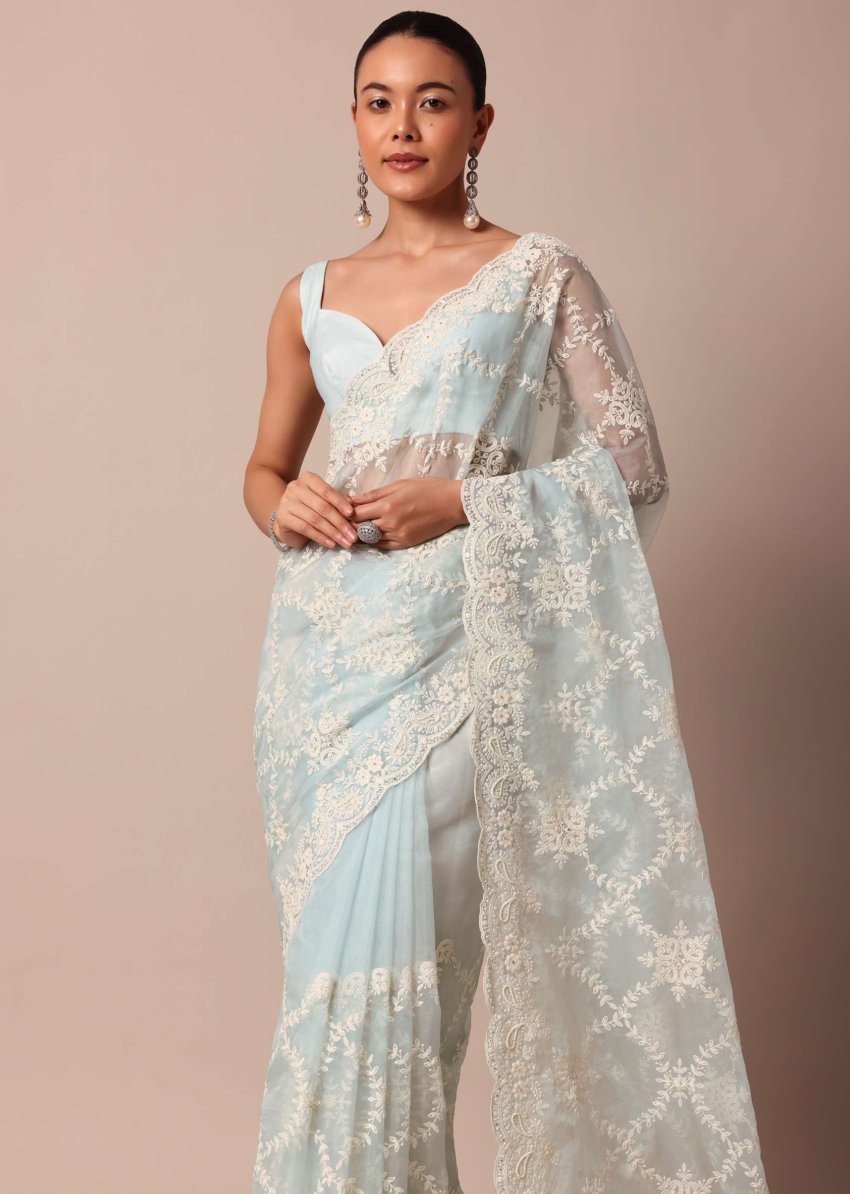 sky_blue_chikankari_saree_in_organza_silk_with_floral_jaal_d-sg214115_7_2a4c9ec0-a0ed-4431-b83b-64ab66554e3a.jpg
