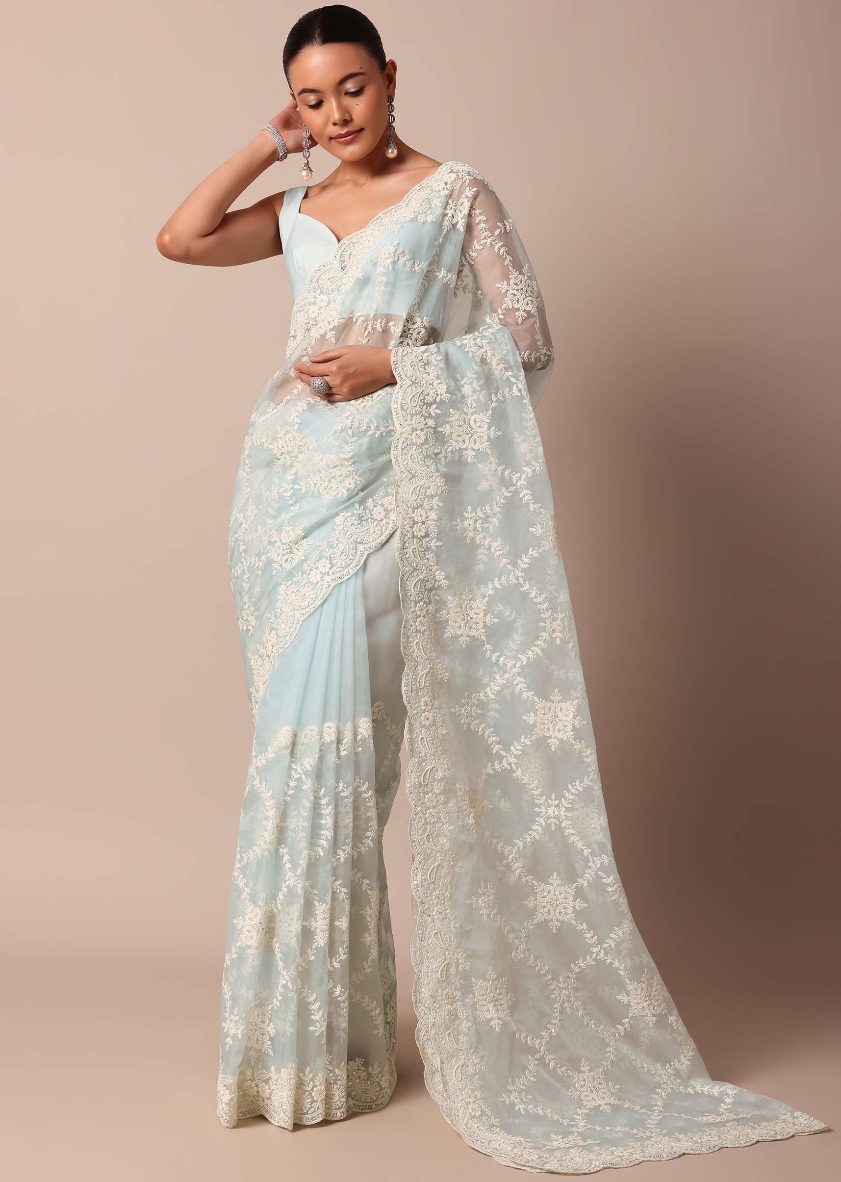sky_blue_chikankari_saree_in_organza_silk_with_floral_jaal_d-sg214115_8_2ef93215-8c64-4b75-b564-7dad13ce4e51.jpg