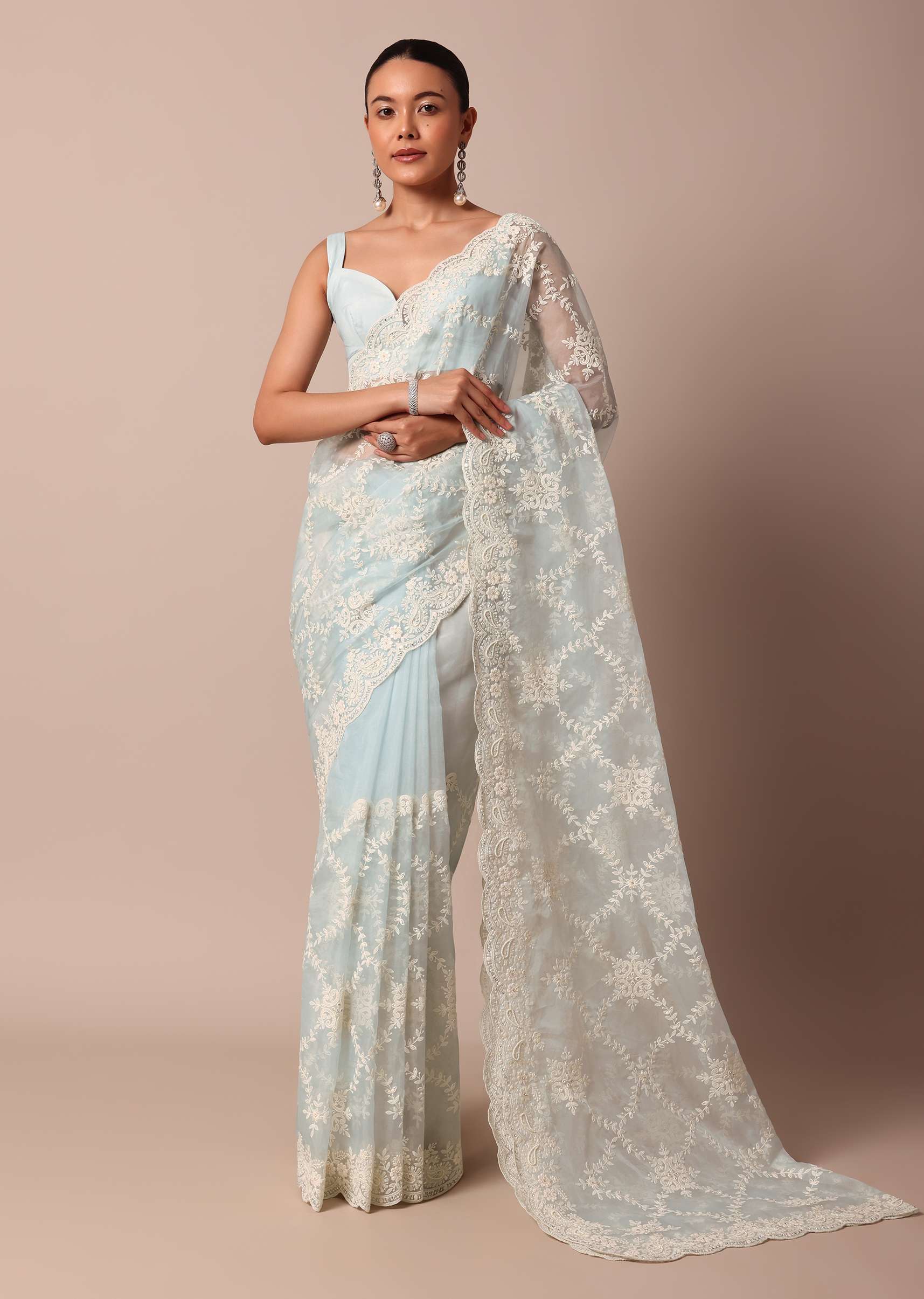 sky_blue_chikankari_saree_in_organza_silk_with_floral_jaal_d-sg214115_9_139d3026-6c16-44ac-9ee3-85c1e24dbc58.jpg
