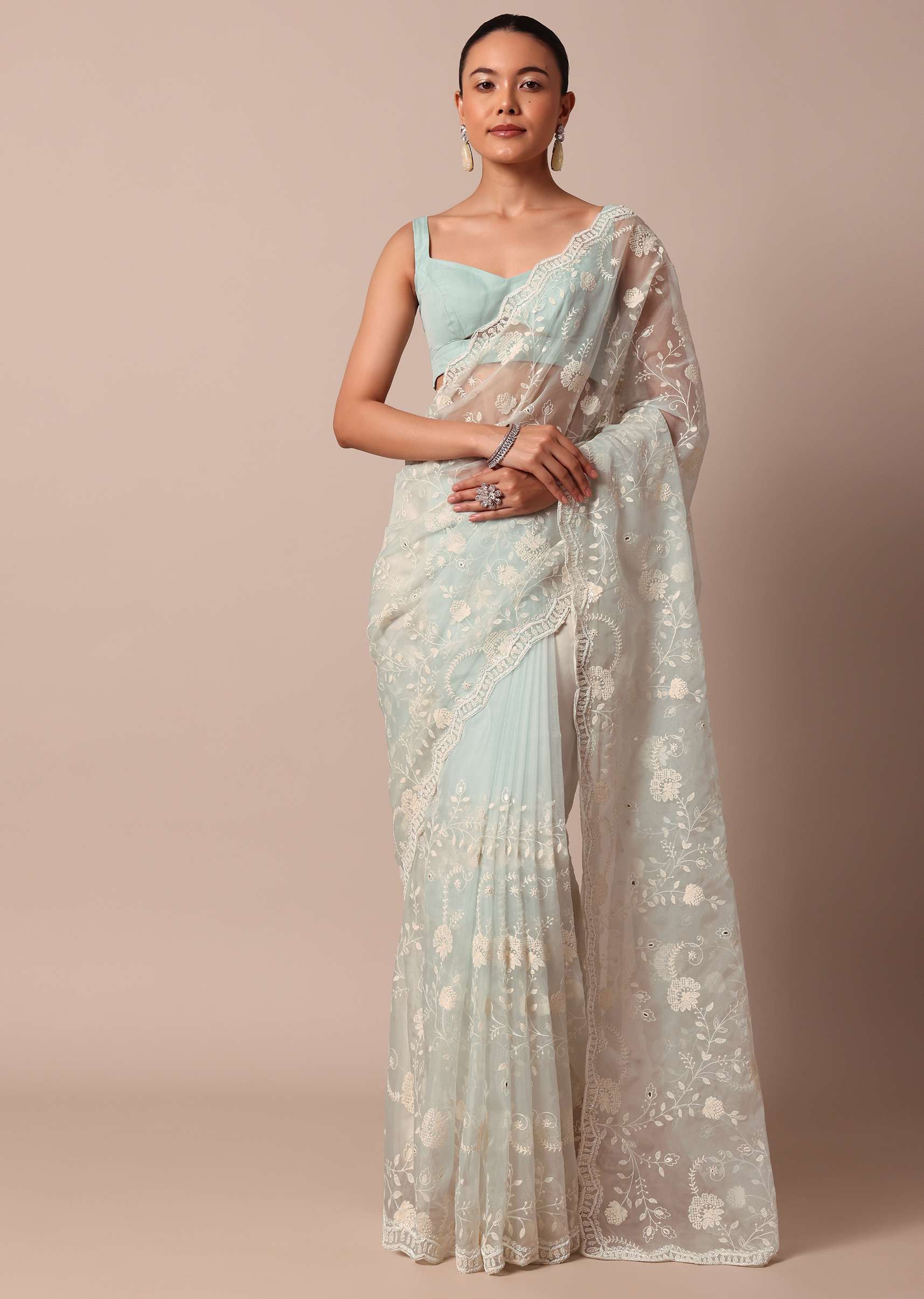sky_blue_chikankari_saree_in_organza_silk_with_scallop_borde-sg214110_10_01257f58-7abc-4e6a-83aa-4d0aaf77d811.jpg