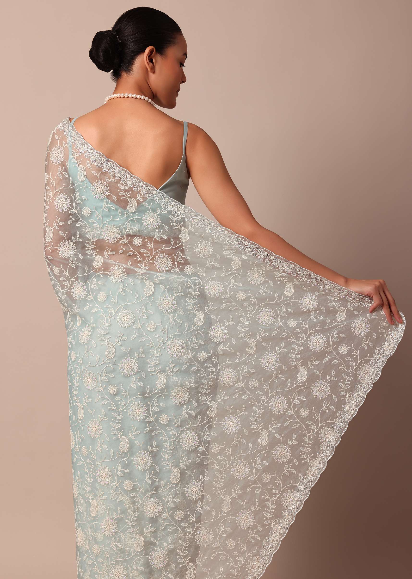 sky_blue_chikankari_silk_organza_saree_with_floral_thread_ja-sg214088_4_2956d28a-0db9-4346-babe-3919171e8a43.jpg