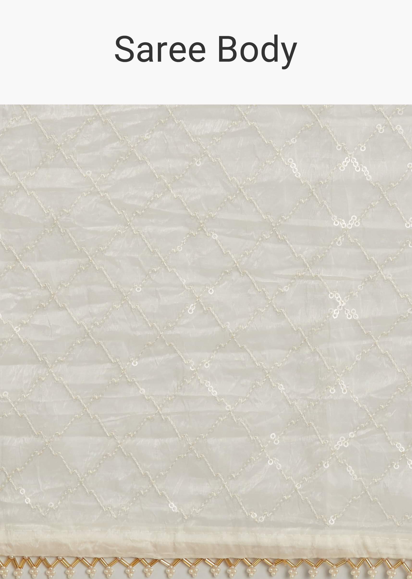 white-glass-tissue-embroidered-saree-with-contrast-blouse-sg293889-9_c82b78aa-a09d-4c5c-bc72-2bc937fa7bb9.jpg