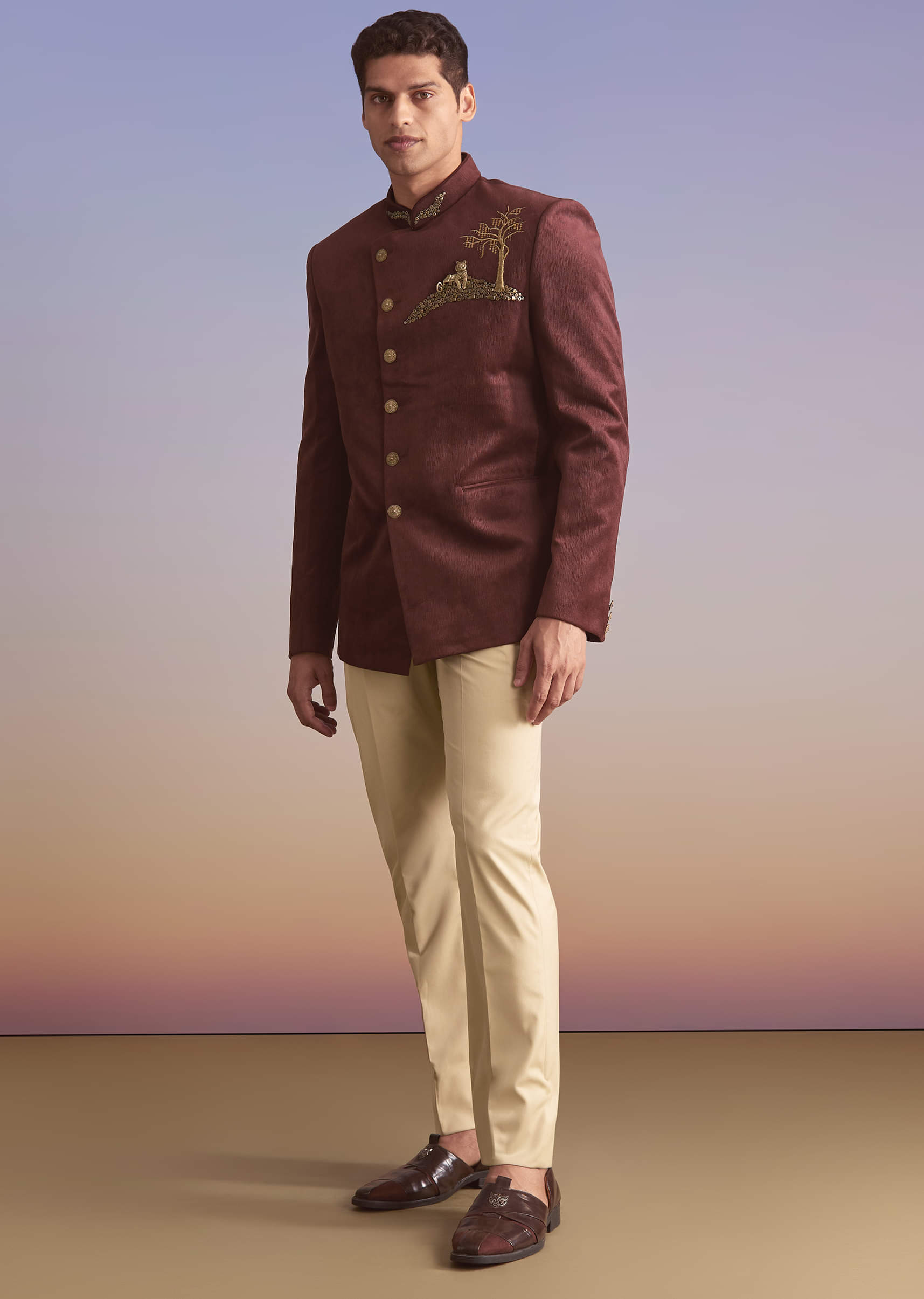wine-velvet-jodhpuri-suit-for-men-with-metal-and-zari-embroidery-sg357017-3.jpg