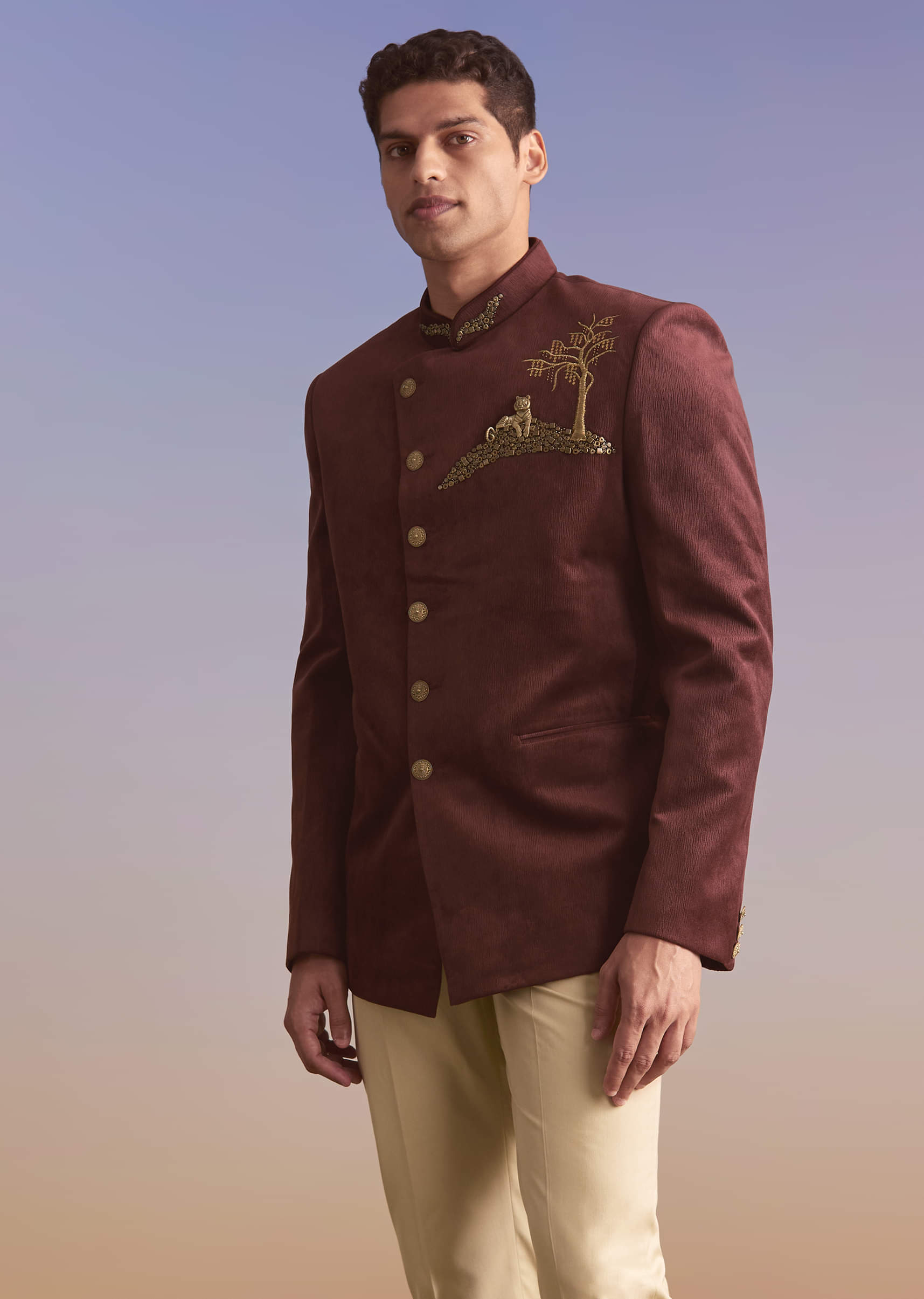 wine-velvet-jodhpuri-suit-for-men-with-metal-and-zari-embroidery-sg357017-4.jpg