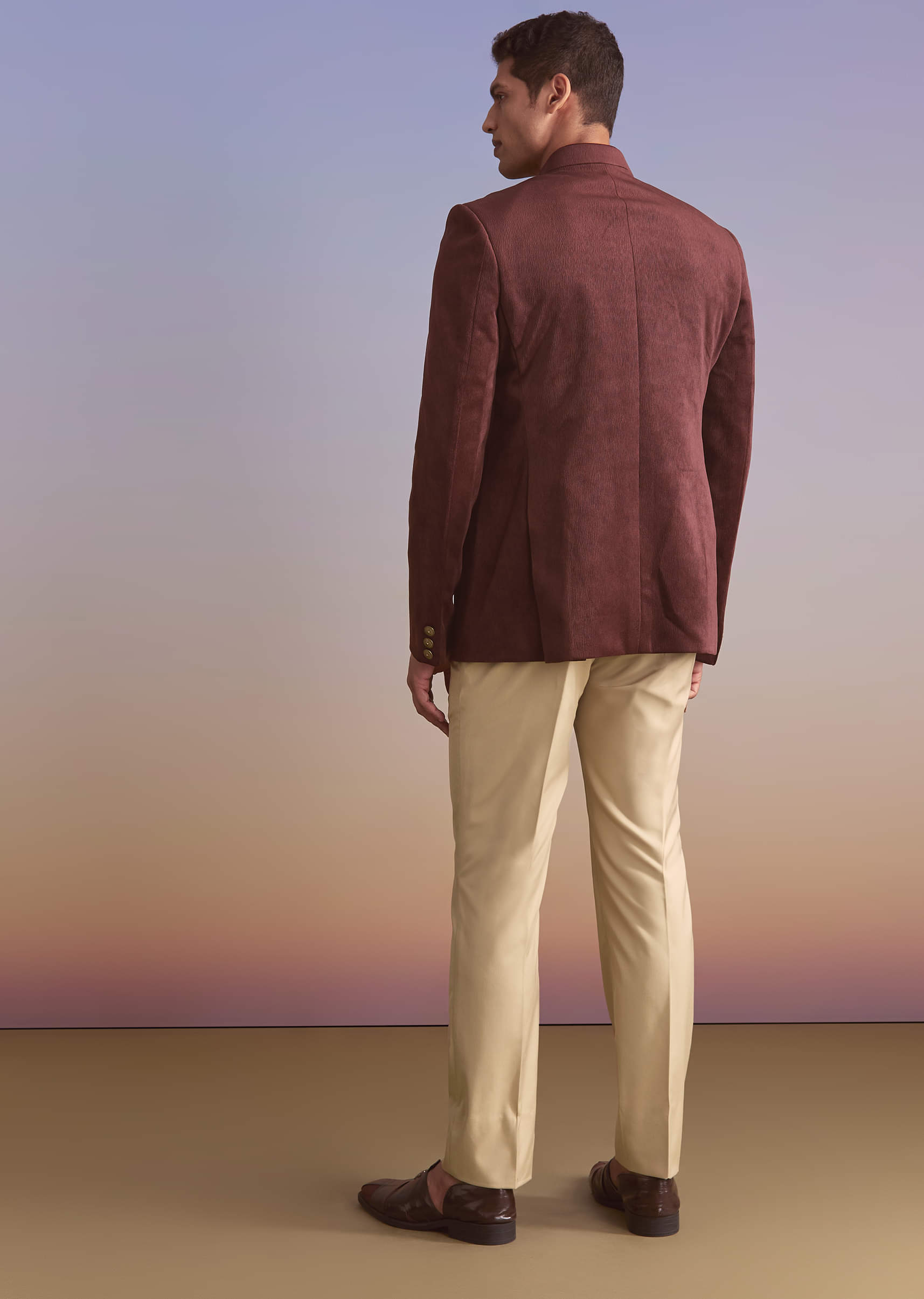 wine-velvet-jodhpuri-suit-for-men-with-metal-and-zari-embroidery-sg357017-5.jpg